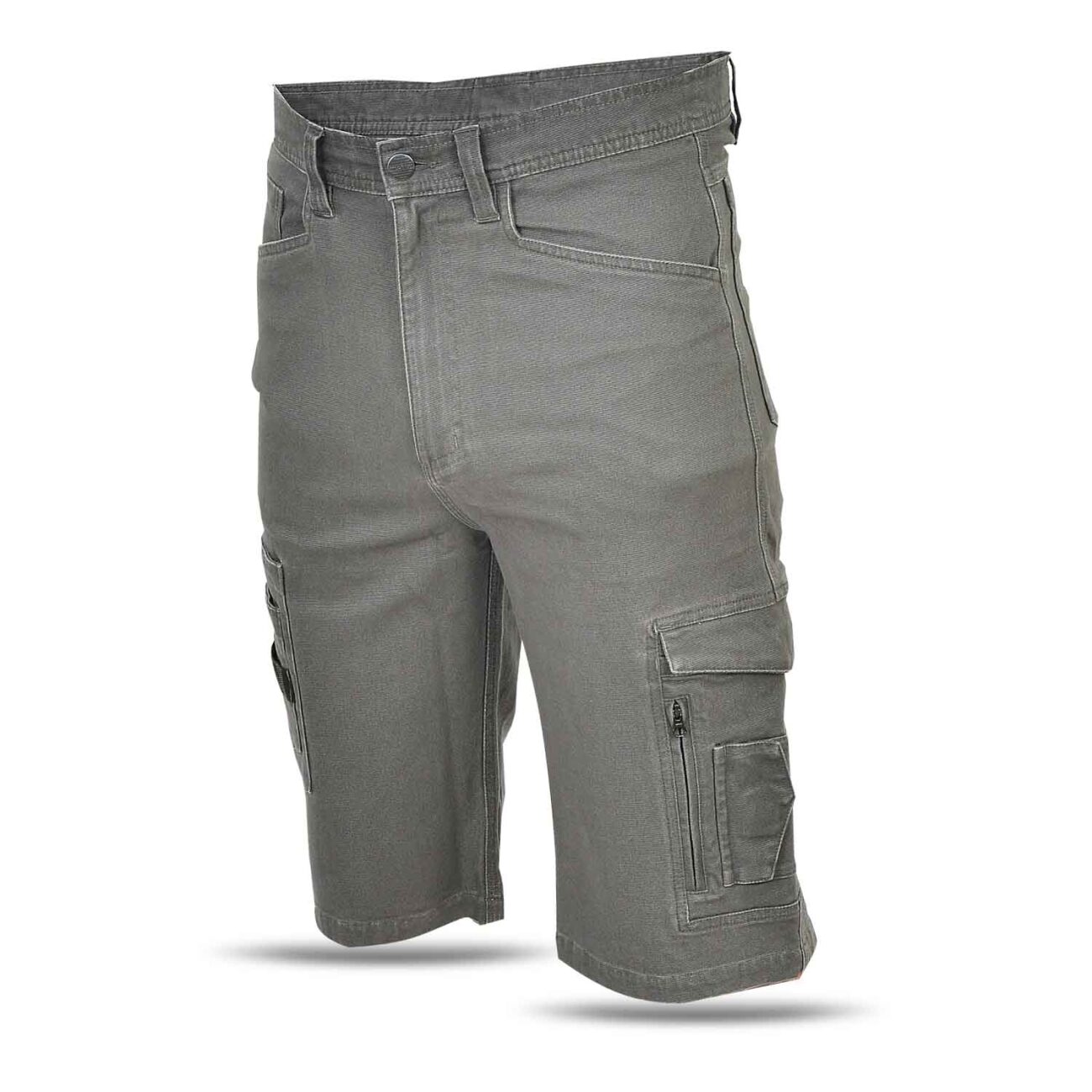 Retro Canvas Flex Shorts